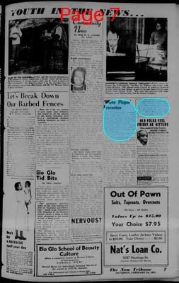 Page thumbnail for The Detroit Tribune