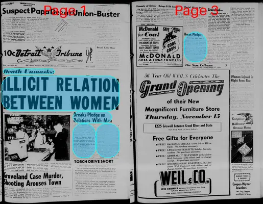 Page thumbnail for The Detroit Tribune