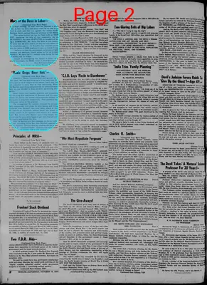 Page thumbnail for The Detroit Tribune