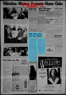 Page thumbnail for The Detroit Tribune
