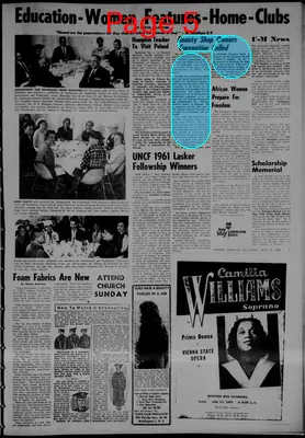 Page thumbnail for The Detroit Tribune