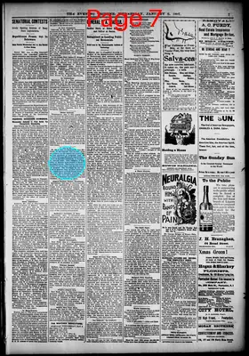 Page thumbnail for The Evening Tribune