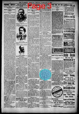 Page thumbnail for The Evening Tribune