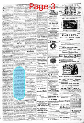 Page thumbnail for The Beaufort Tribune And Port Royal Commercial