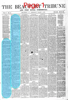 Page thumbnail for The Beaufort Tribune And Port Royal Commercial