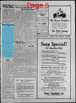 Page thumbnail for Park County Herald