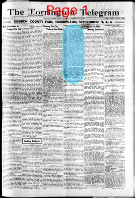Page thumbnail for Torrington Telegram