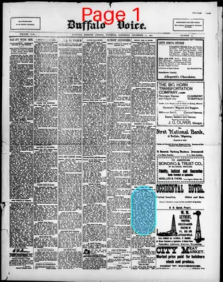 Page thumbnail for The Buffalo Voice