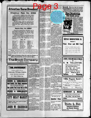 Page thumbnail for The Buffalo Voice