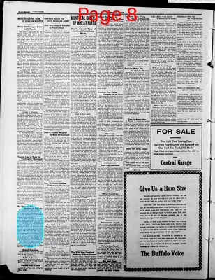 Page thumbnail for The Buffalo Voice