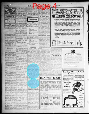 Page thumbnail for The Evening Herald
