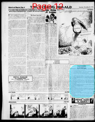 Page thumbnail for The Evening Herald
