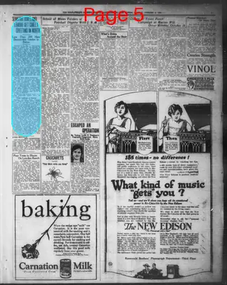 Page thumbnail for The Evening Herald