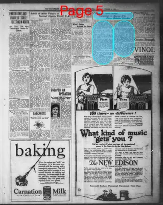 Page thumbnail for The Evening Herald