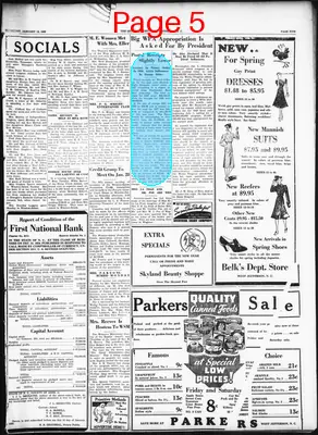 Page thumbnail for The Skyland Post