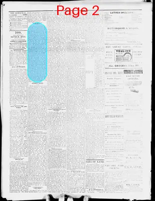 Page thumbnail for The Democrat