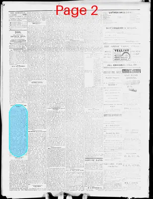 Page thumbnail for The Democrat