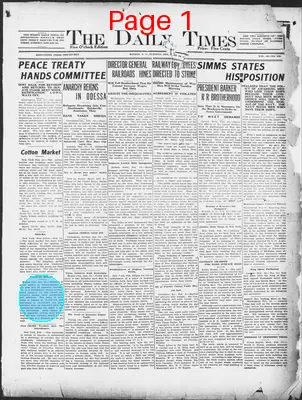 Page thumbnail for The Daily Times