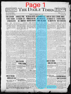 Page thumbnail for The Daily Times
