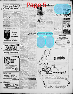 Page thumbnail for The News And Views