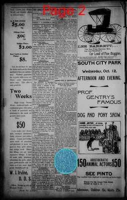 Page thumbnail for The Daily Chieftain