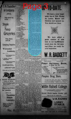 Page thumbnail for The Daily Chieftain