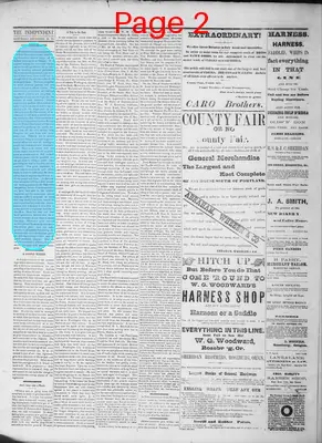 Page thumbnail for The Douglas Independent