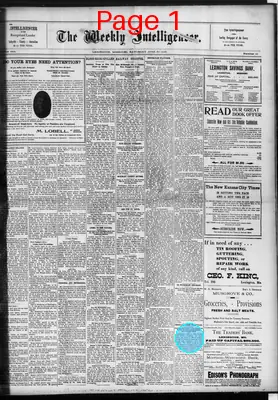 Page thumbnail for The Weekly Intelligencer