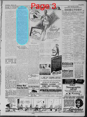 Page thumbnail for The Omaha Guide