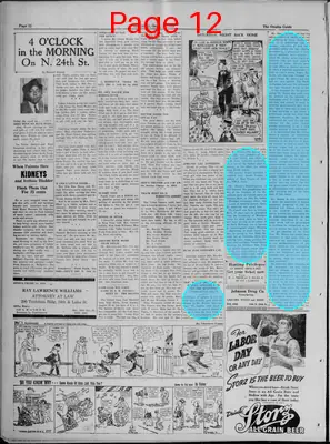 Page thumbnail for The Omaha Guide