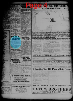 Page thumbnail for The Daytona Daily News