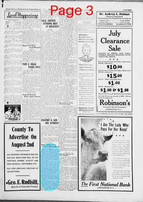 Page thumbnail for The Lincoln Times