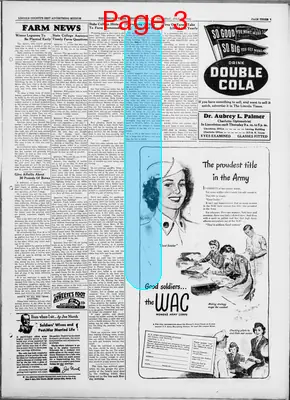 Page thumbnail for The Lincoln Times
