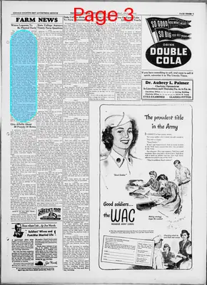 Page thumbnail for The Lincoln Times