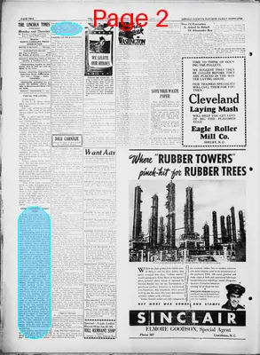 Page thumbnail for The Lincoln Times