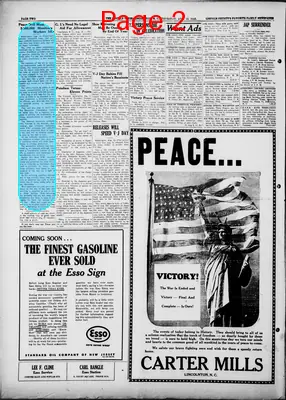 Page thumbnail for The Lincoln Times