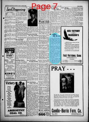 Page thumbnail for The Lincoln Times