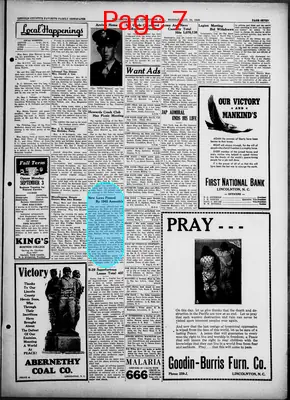 Page thumbnail for The Lincoln Times