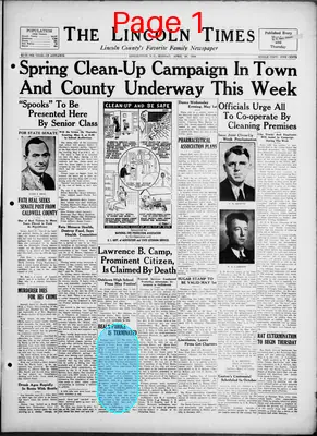Page thumbnail for The Lincoln Times