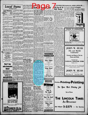 Page thumbnail for The Lincoln Times