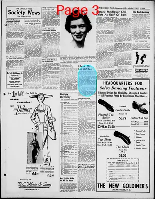 Page thumbnail for The Lincoln Times