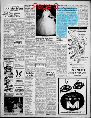 Page thumbnail for The Lincoln Times