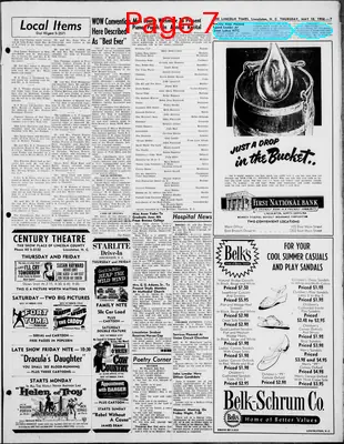 Page thumbnail for The Lincoln Times