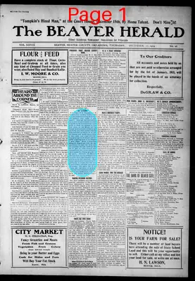 Page thumbnail for The Beaver Herald