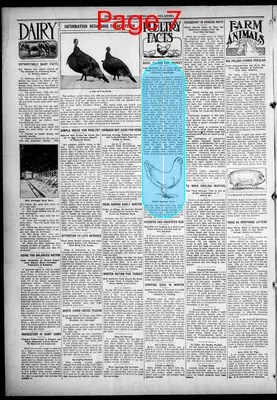 Page thumbnail for The Beaver Herald