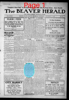 Page thumbnail for The Beaver Herald