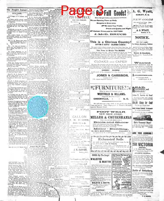 Page thumbnail for The People's Journal