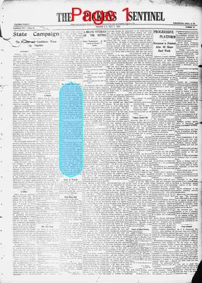 Page thumbnail for The Pickens Sentinel
