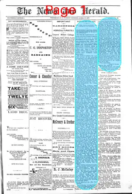 Page thumbnail for The News And Herald