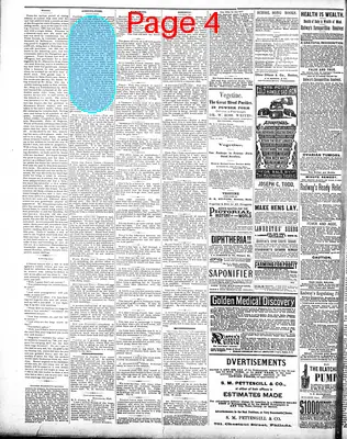 Page thumbnail for The News And Herald